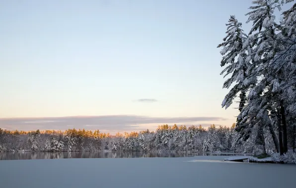 Winter, landscape, lake