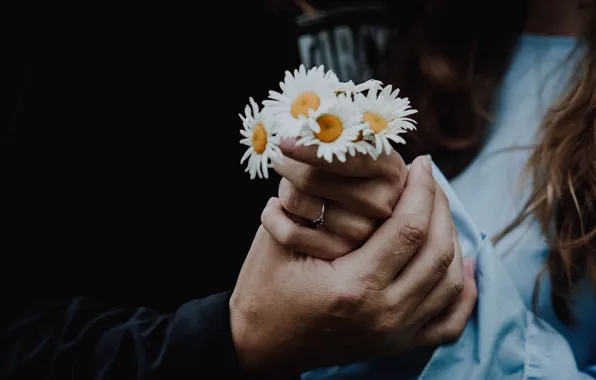 Girl, flowers, chamomile, hands, male