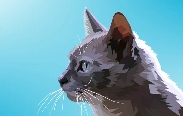 Cat, background, vector graphics