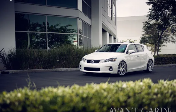 White, white, Lexus, Lexus CT 200h