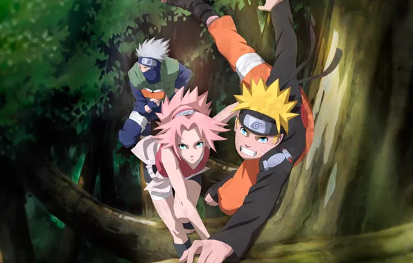 Sakura, Naruto, Naruto, Kakashi