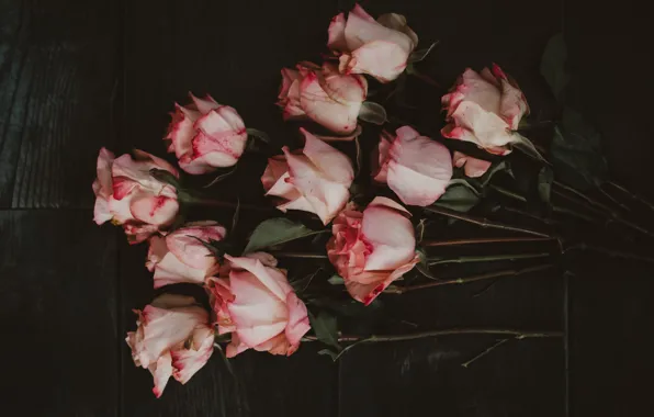 Flowers, the dark background, Board, roses, bouquet, lies, pink, buds
