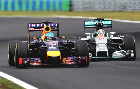 Picture Racer, Formula 1, Red Bull, Sebastian Vettel, Champion, RB10
