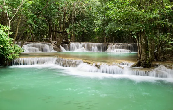 Forest, trees, tropics, stream, waterfall, Thailand, cascade