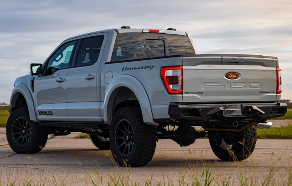 Picture Ford, power, pickup, power, pickup, exterior, Hennessey, Venom