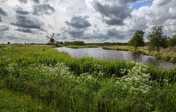 Picture field, grass, clouds, trees, flowers, mill, river, Netherlands