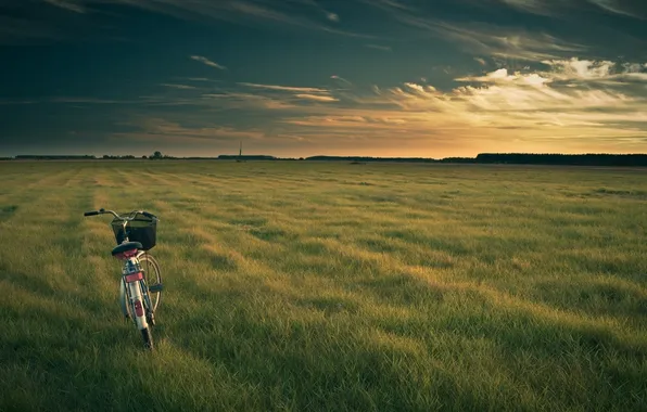 Picture field, the sky, grass, clouds, landscape, sunset, nature, bike