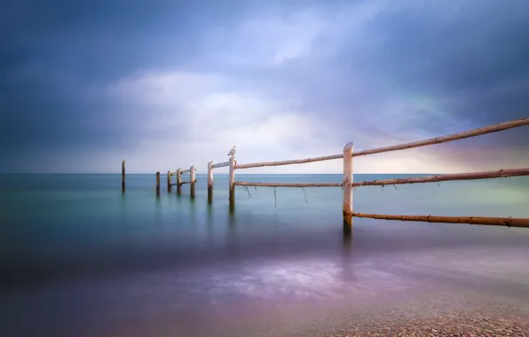 Picture sea, beach, the fence, seagulls, Baltic Sea