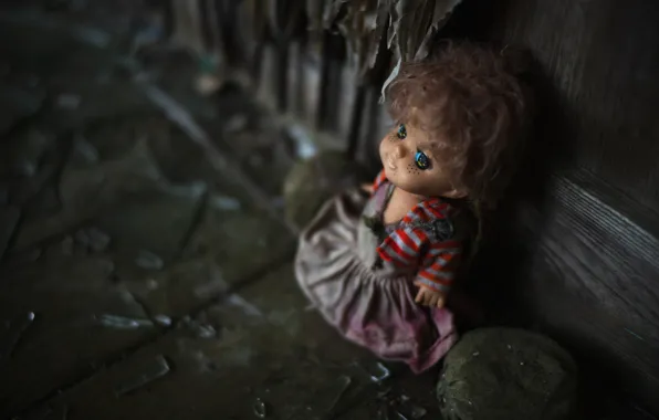 Eyes, look, glass, the dark background, wall, clothing, stone, toy
