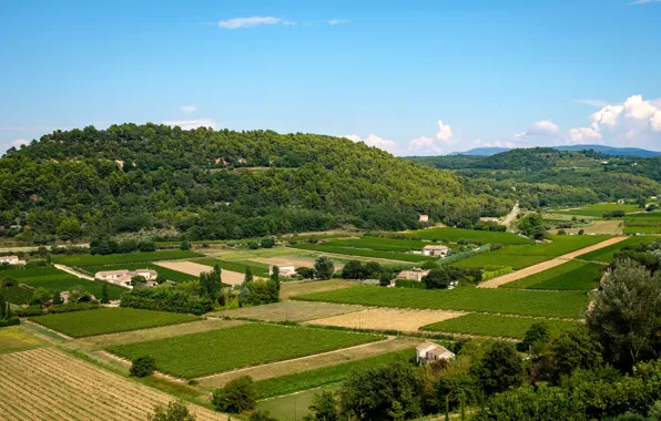Greens, forest, the sky, the sun, clouds, trees, mountains, France