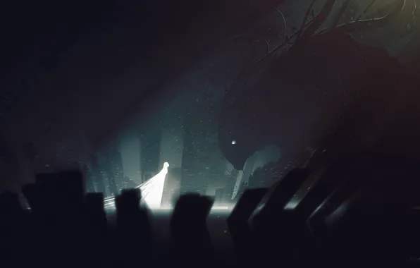 Figure, shadows, Bastien Grivet, Beauty and the Wild