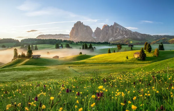 Trees, flowers, mountains, dawn, morning, village, Italy, houses