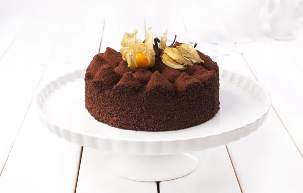 Cake, physalis, cocoa