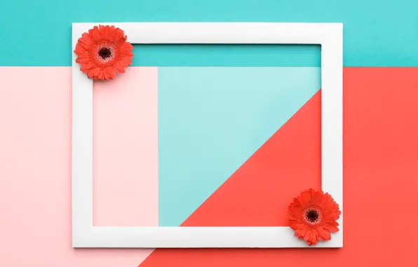 Line, flowers, orange, background, pink, holiday, blue, strip