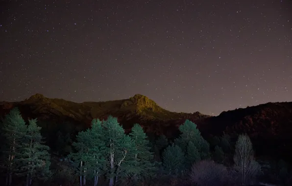 Picture stars, trees, mountains, night