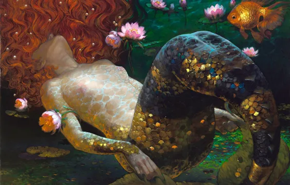 Water, flowers, Shine, mermaid, fish, picture, scales, art
