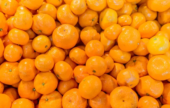 Picture citrus, a lot, tangerines