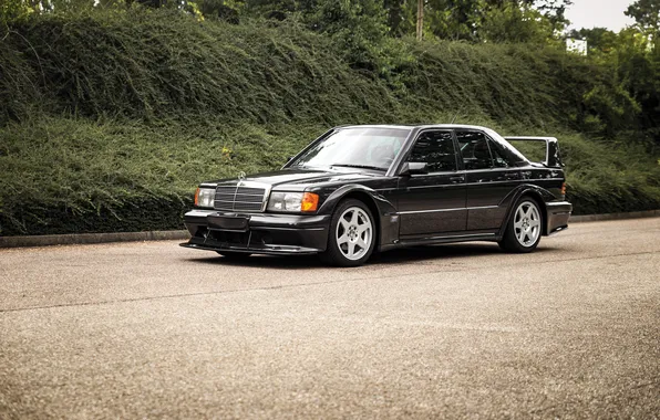 Picture Mercedes-Benz, Mercedes, 1990, 190, Mercedes-Benz 190 E 2.5-16 Evolution II