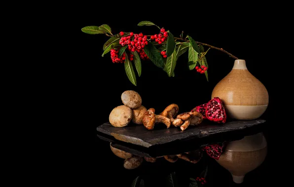 Mushrooms, vase, black background, still life, grenades