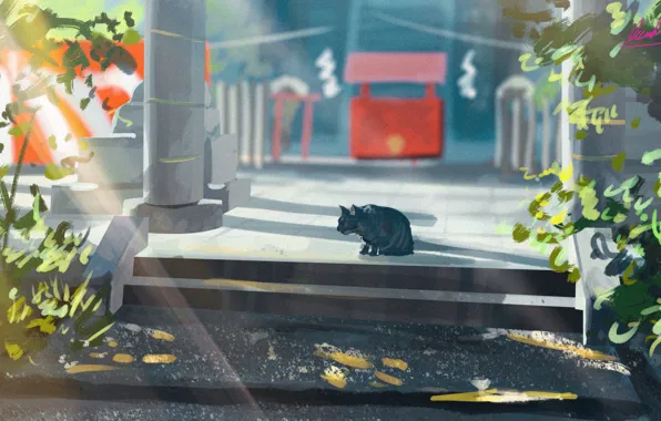 Cat, temple, washes