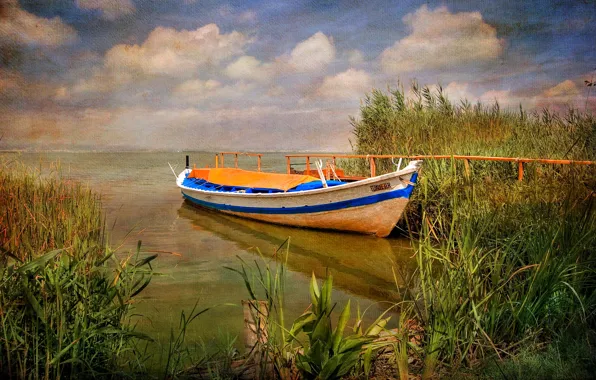Water, nature, boat, plant, Spain, canvas, Valencia, Albufera Natural Park