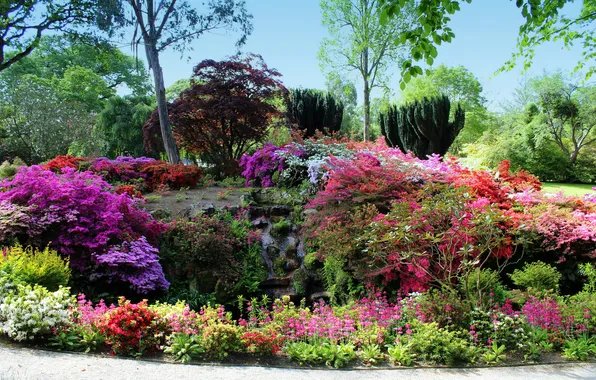 Trees, flowers, Park, stream, stones, UK, the bushes, Wales