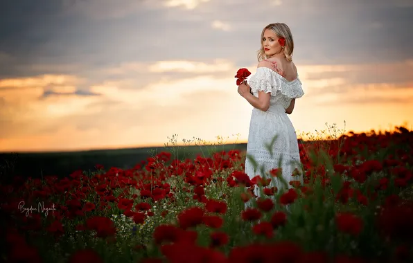 Flowers, white dress, poppy field, beautiful woman, Between-Petals, Bogdan Negoita