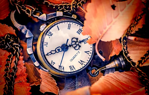 Autumn, leaves, arrows, watch, dial, autumn, leaves, hands