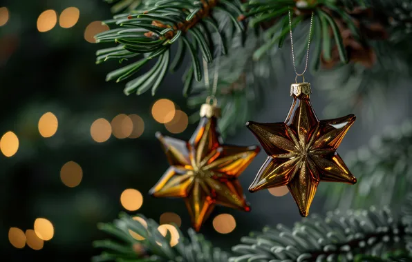 Stars, snowflakes, branches, lights, Christmas, New year, gold plated, needles