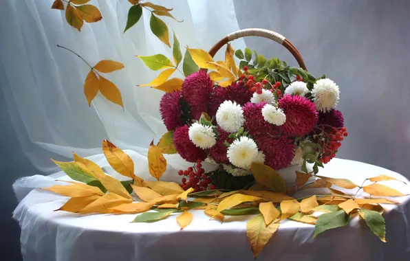 Autumn, leaves, basket, Rowan, asters