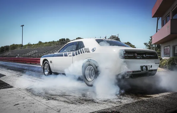 Picture Challenger, Supercharged, Hemi, Mopar, 2015, Drag Pak