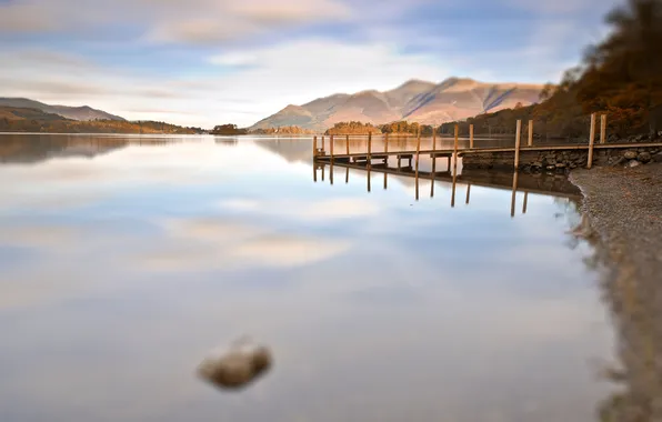 Macro, landscape, focus, bokeh