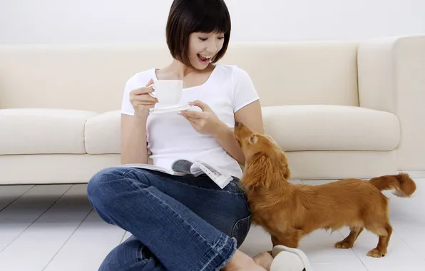 Picture girl, sofa, Cup, Dachshund