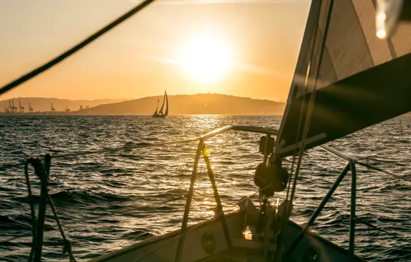 Sea, the sun, reflection, coast, the evening, yacht, port, sails