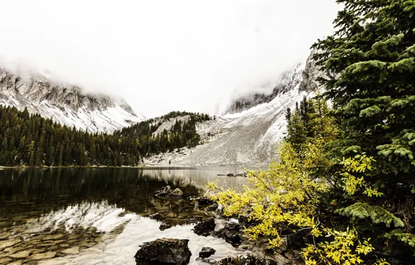 Picture autumn, nature, lake