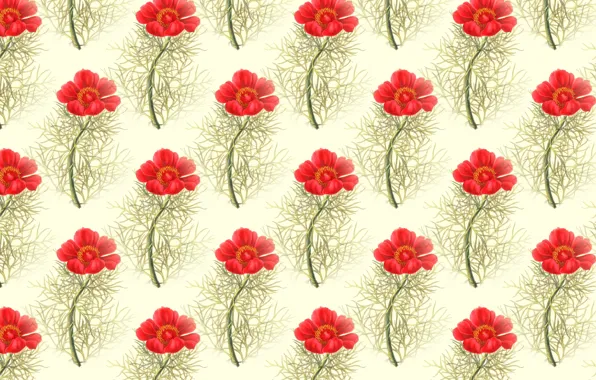 BACKGROUND, TEXTURE, RED, FLOWERS