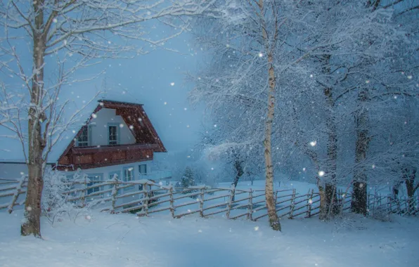 Winter, the sky, snow, trees, branches, house, the fence, treatment