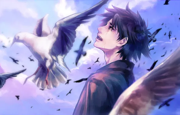 Picture the sky, clouds, birds, anime, tears, art, guy, fate stay night