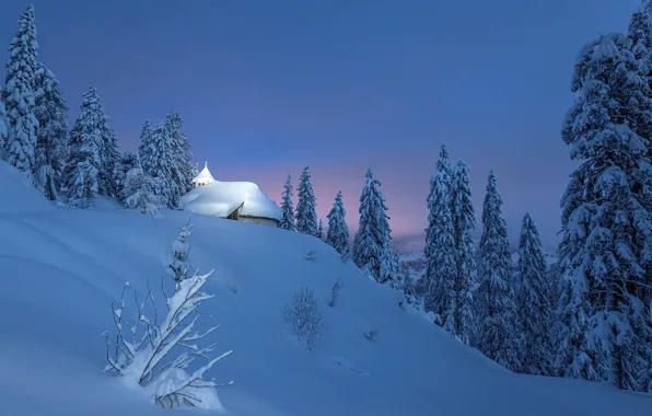 Picture winter, forest, snow, landscape, mountains, nature, valley, Italy