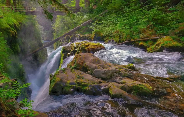 Picture stones, bridge, waterfall, trees, Sol Duc Falls, Olympic National Park, Sol Duc River, river