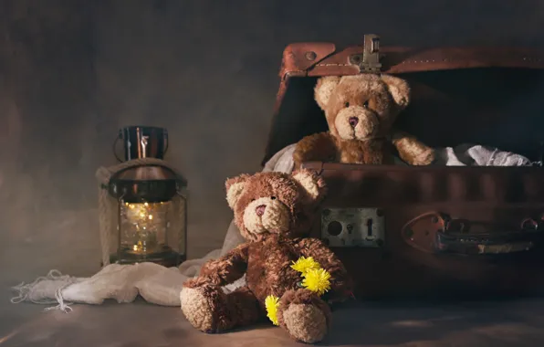 Flowers, lantern, suitcase, Teddy bears