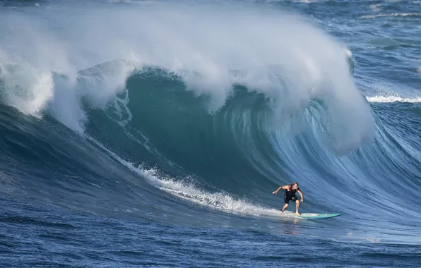 Wave, surfer, wave, surfer, David H Yang