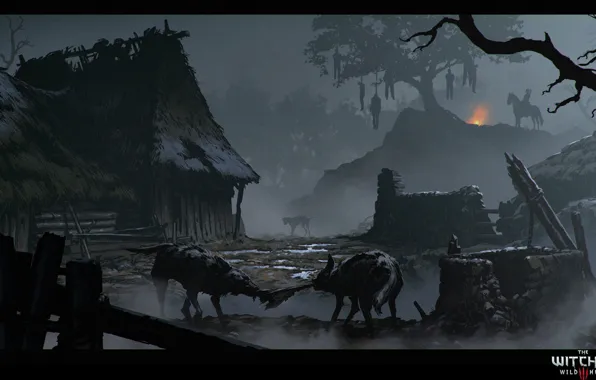 The witcher, the Witcher, the witcher 3 wild hunt, Velen