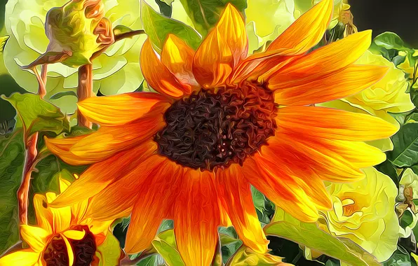 Picture flower, line, paint, sunflower, petals