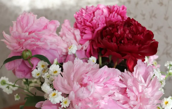 Flowers, bouquet, spring, pink flowers, peonies