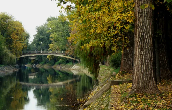 Bridge, Autumn, Park, Fall, Foliage, Bridge, Park, Autumn