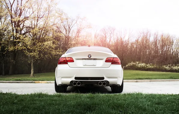 Road, forest, white, the sky, trees, lawn, bmw, BMW