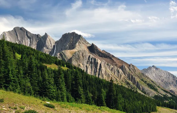 The sky, trees, mountains, Alberta, Canada, Kananaskis