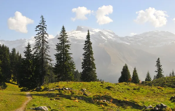 Picture landscape, mountains, nature, Switzerland, Engelberg, Obwalden