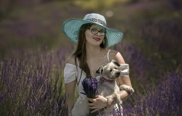 Picture dog, lady, lavender